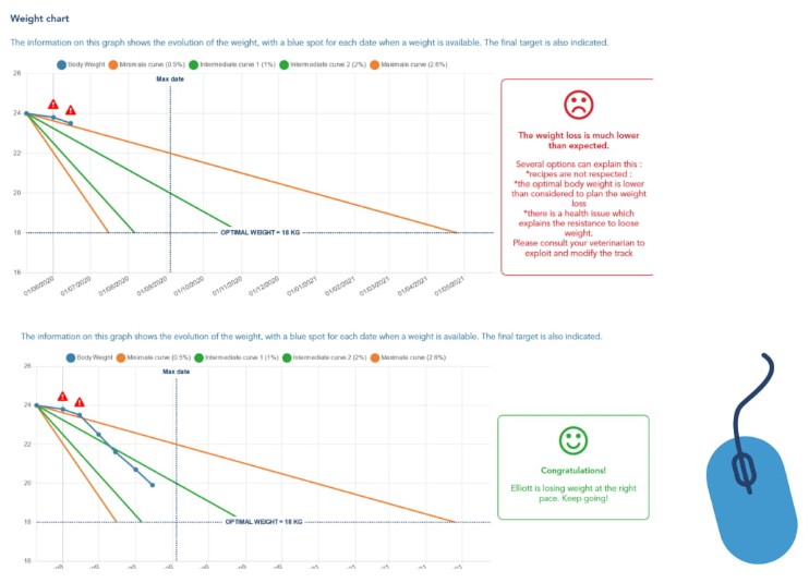 weight loss dog follow up